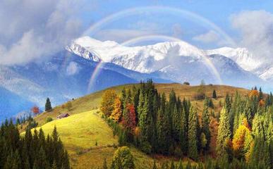 國(guó)際旅行社注冊(cè)及經(jīng)營(yíng)國(guó)內(nèi)旅游業(yè)務(wù)指南