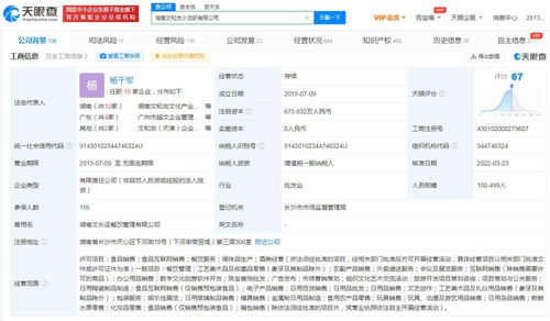 數字文化創意軟件開發 融合科技與藝術的創新引擎
